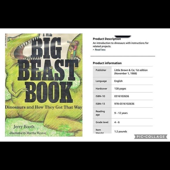 Set of (4) Chapter Books for Children Ages 6-10 - Picture 4 of 4